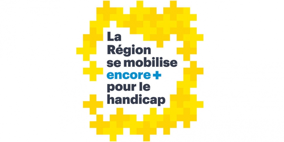 Rencontres H+ de la Région Auvergne-Rhône-Alpes